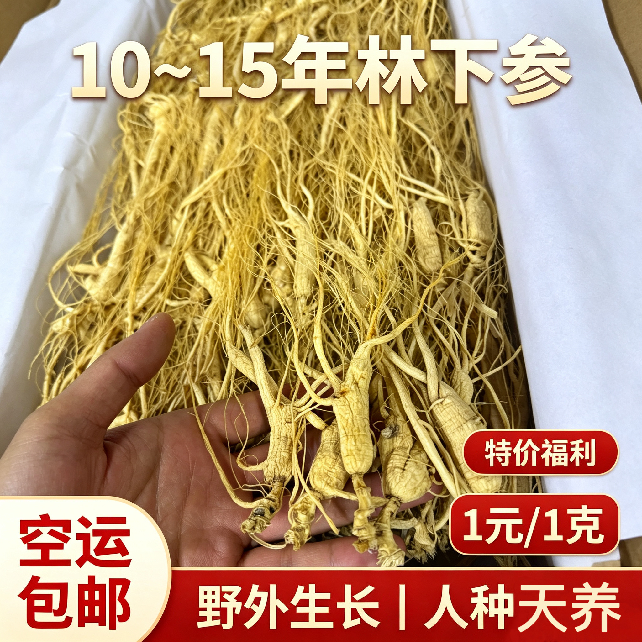 10-15年长白山人参林下参高龄残参干货泡酒专用老干参整根生晒参