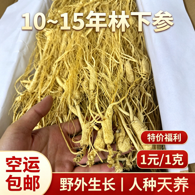 10-15年长白山人参林下参高龄残参干货泡酒专用老干参整根生晒参