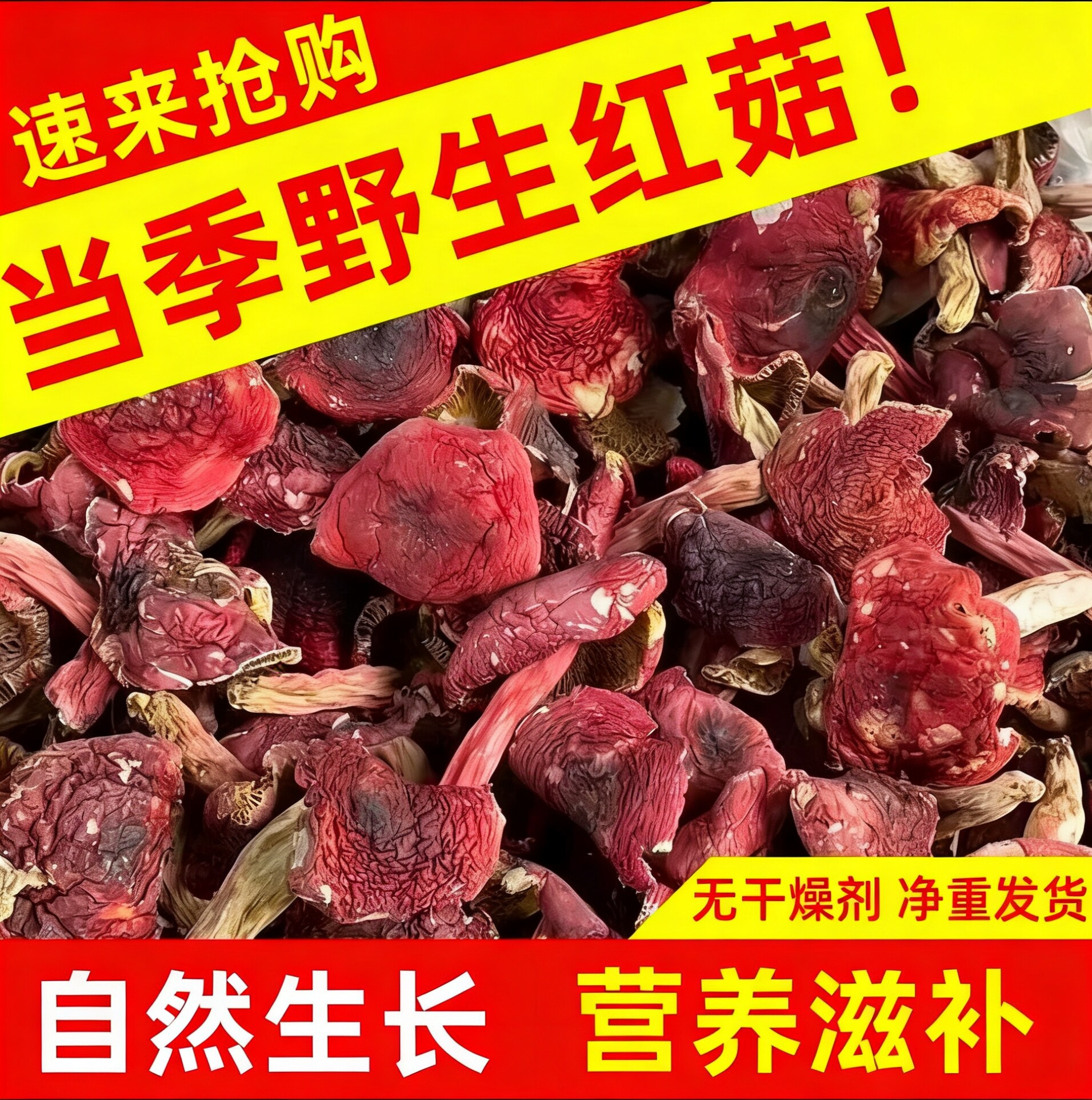 新货福建三明野生红菇500g干货红蘑菇红椎菌孕妇煲汤月子炖汤礼盒