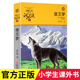 15岁儿童文学三四五六年级小学生课外读物少儿文学故事畅销书籍全套正版 沈石溪动物小说升级完整版 全本6 包邮 狼王梦 现货