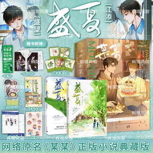 小说全2册 现代言情小说力作龛世 盛夏序章典藏刷边版 附赠精美好礼 江添盛望晋江高分青春文学双男主 木苏里实体书 某某正版
