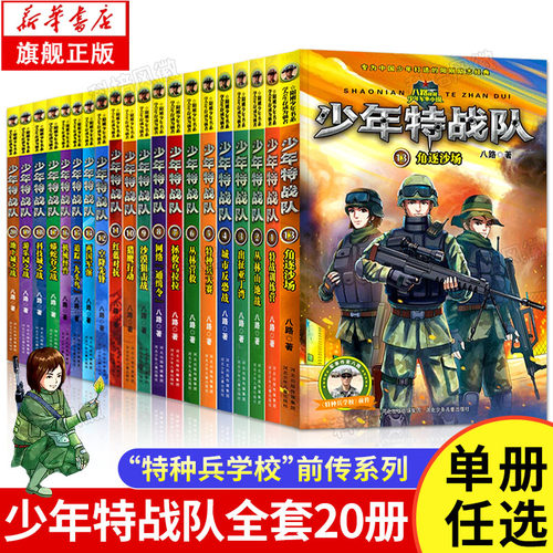 单册任选少年战队八路儿童小说