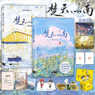 全2册 青春小说畅销实体书籍 完结篇 折立卡 明信片 海报 赠书签 大风不是木偶口碑力作 正版 套装 楚天以南1