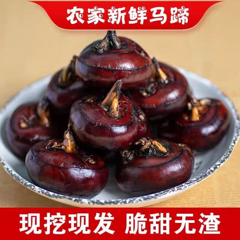 新鲜马蹄荸荠特大正宗当季地农家土特产新鲜水果脆甜多汁现挖蔬菜