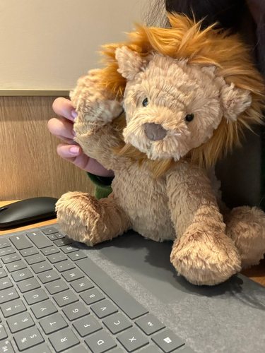 jellycat波浪毛狮子猴子大象羔羊