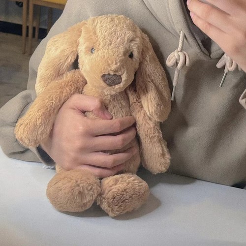 jellycat正版太妃糖小狗毛绒玩偶