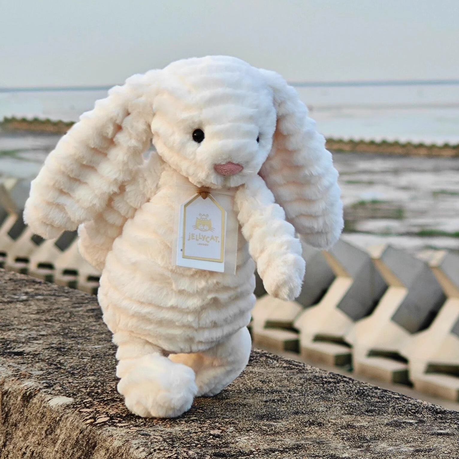 英国Jellycat致臻害羞尼珀斯朱尼珀邦尼兔毛绒玩具安抚玩偶礼物