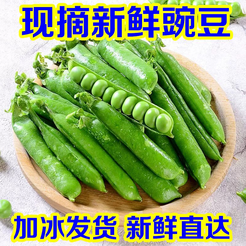 现货水果荷兰甜豆角露天种植带壳豌豆现摘农家新鲜豌豆荚3斤包邮