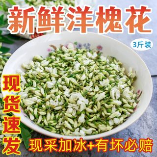 24年洋槐花新鲜现货农家杨槐花骨朵花苞时令野菜现摘蔬菜3斤包邮