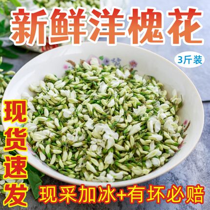 26年洋槐花新鲜现货农家杨槐花骨朵花苞时令野菜现摘蔬菜3斤包邮