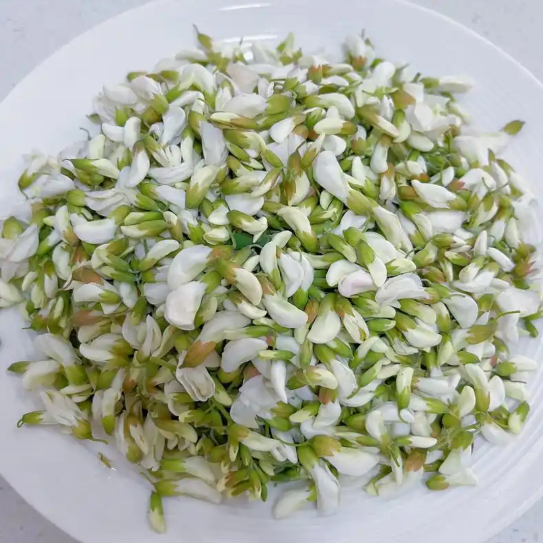 25年新鲜野生槐树花榆钱当季洋槐花野菜榆钱串现摘杨槐花骨朵3斤