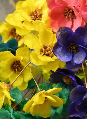 银莲花干花铃铛花天然干花家居软装插花永生花银铃花小众轻奢花材