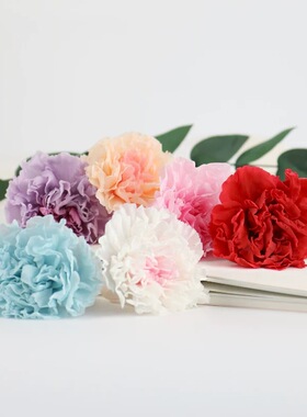 永生花康乃馨DIY教师节母亲节玻璃罩DIY制作礼物材料花店花束资材