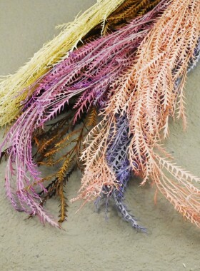 天然干花真花花束配草绿色家居装饰永生花进口羊齿叶3支/束装饰