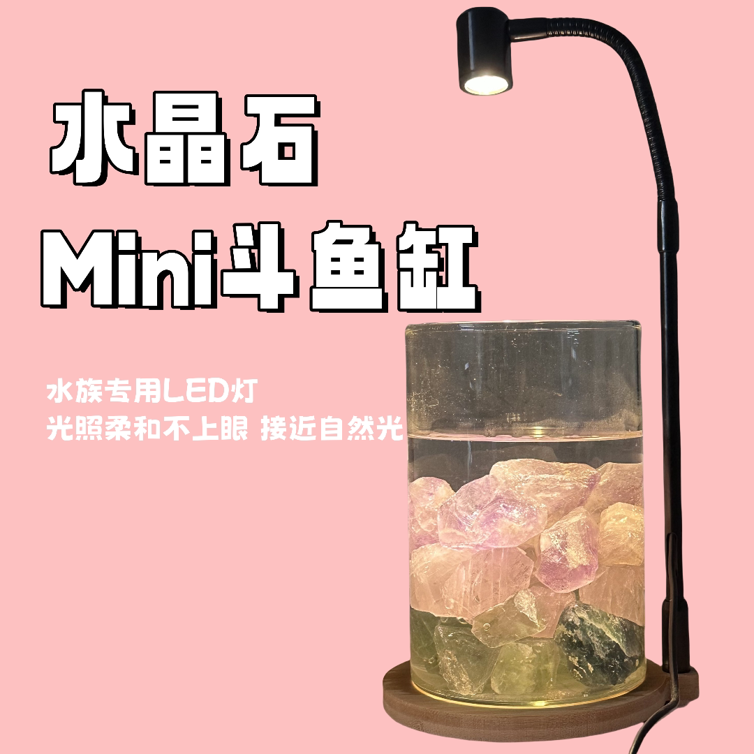 水晶石斗鱼缸泰国斗鱼小型桌面缸创意微景观夜灯送礼好物月光石