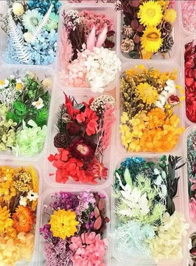 30款森系田园装饰材料包团建手工制作永生花相框精致花材DIY材料