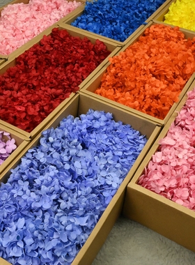 干花摆件独角兽diy暴力熊永生花AB级木绣球100克生日真花材料