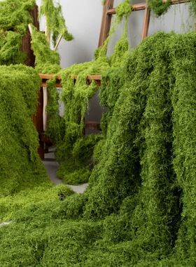 丝状仿真苔藓整块装饰墙青苔草坪羊毛藓景观造景铺面人造苔藓装饰