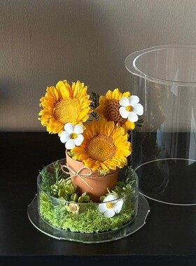 亚克力花盒圆筒高颜值插花鲜花盒永生花抱抱筒花艺透明包装礼品盒