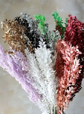 永生花富贵叶DIY材料干花辅材花艺花束搭配装饰花摄影道具装饰