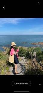 树莓粉 纯色休闲上衣 气质简约翻领单排扣宽松长袖 衬衫