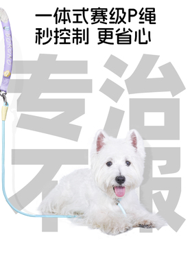 BORORO狗狗牵引绳P绳中小型犬专用遛狗狗链子防爆冲中型犬牵引绳