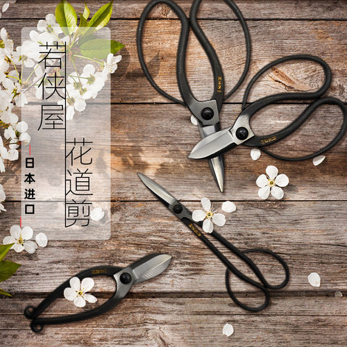日本传统花道若狭屋花枝剪