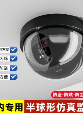 仿真摄像头监控假摄像头监控器