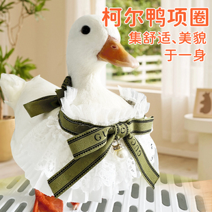 柯尔鸭衣服鸭宠蝴蝶结项圈围脖帽子溜鸭宠物鸭子布兜用品手工饰品