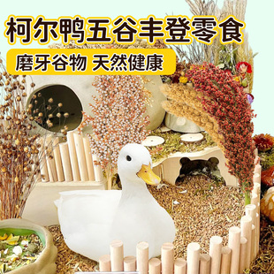 柯尔鸭五谷天然零食亚麻籽白高梁红高梁虎皮鹦鹉玄凤啄食麦穗谷穗