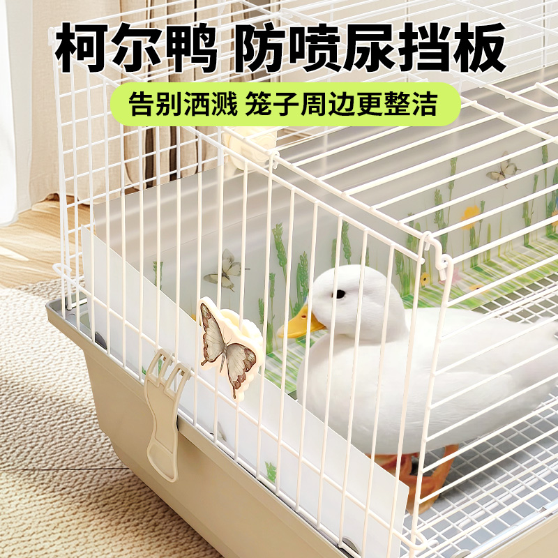 club宠物柯尔鸭防喷尿挡板