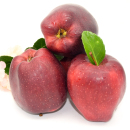 新鲜水果精选甘肃天水花牛苹果大红苹果农户山地种植粉脆两吃