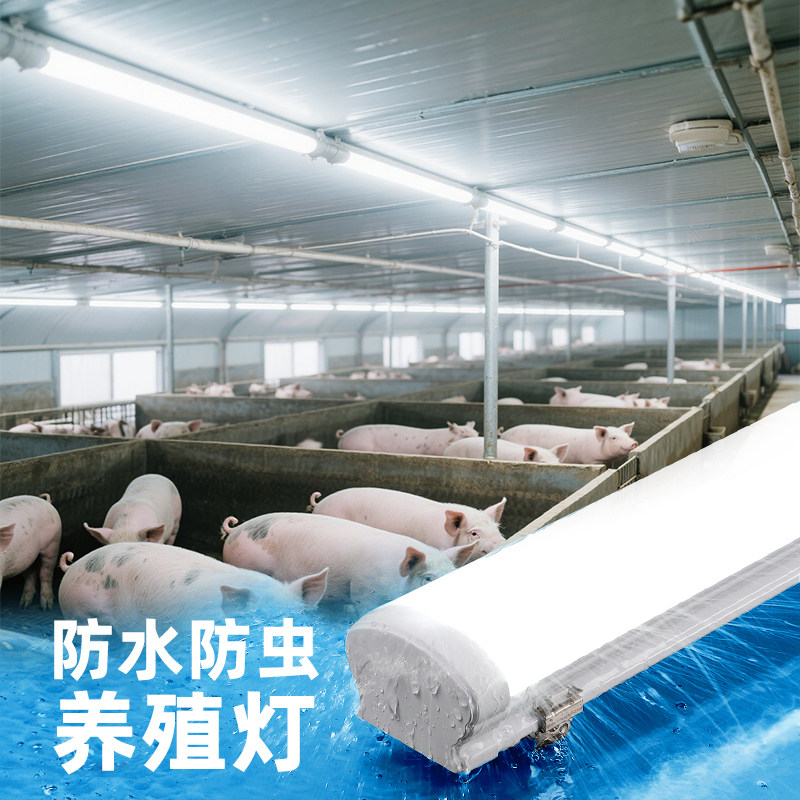 养殖场专用防水灯管 猪羊牛马鸡圈棚车间顶灯照明超亮led三防灯条,家装灯饰光源,LED灯管,淘宝优惠券,粉丝福利购,淘宝优惠卷