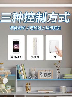 遥控灯管三色调色t8分体支架一体无极调光智能家用开关超亮led管