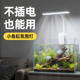 无线充电款 led长条全光谱小型缸古法缸usb夹灯 鱼缸灯免插电充电式