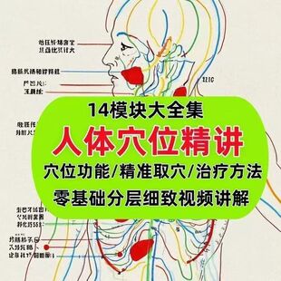 人体穴位精讲教学视频教程中医经络功能精准取穴推拿按摩针灸入门