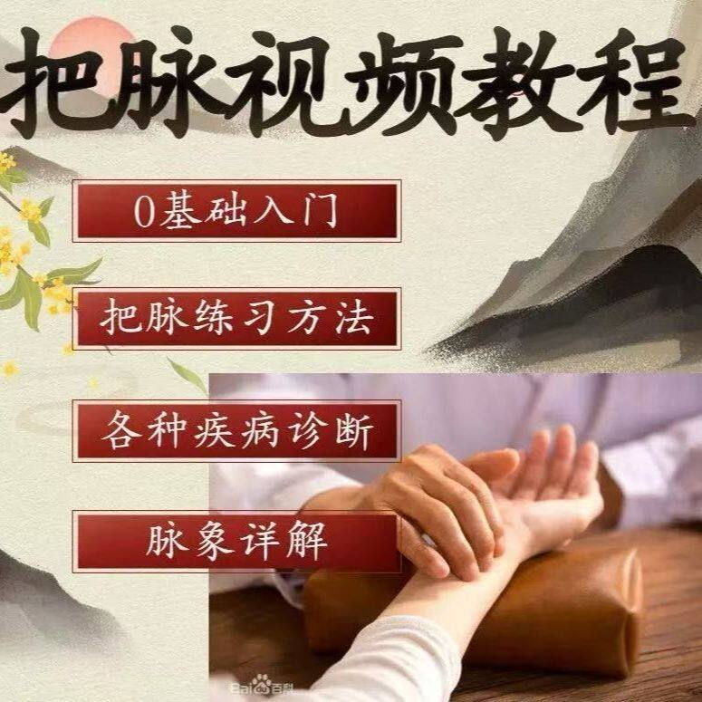 中医脉象脉诊入门视频课程中医把脉号脉教学凭脉辩症素材脉诊教程