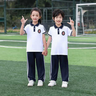 夏季中小学生校服套装短袖t恤初中生班服学院风运动会服装两件套