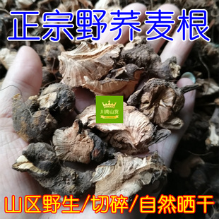 野兰荞根 晒干野荞麦根250g包邮金桥麦透骨消苦荞头 金锁银开药材