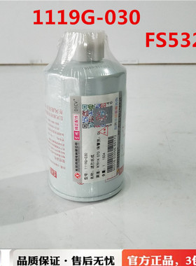 FS5327东风153多利卡康霸凯普特小霸王轻卡燃油柴油格1109G-030