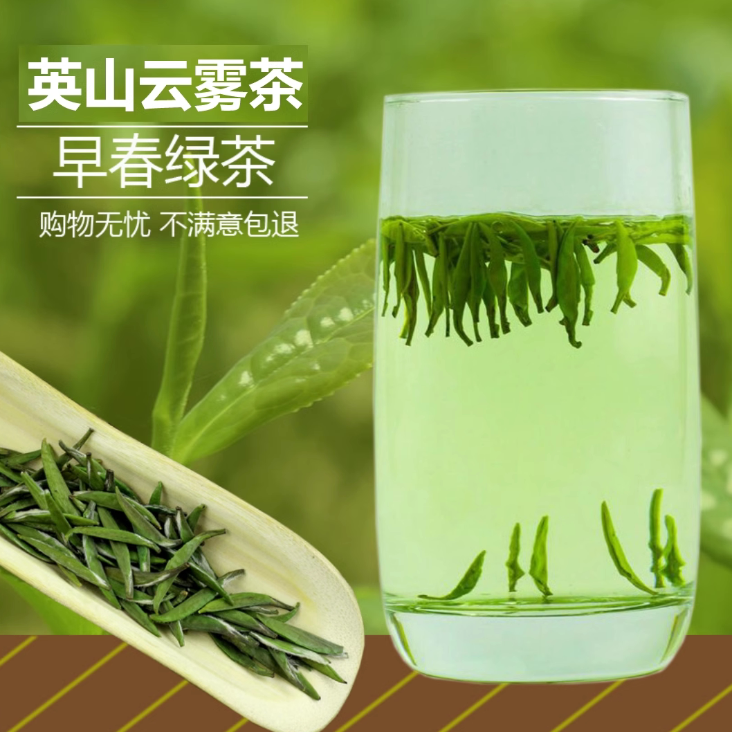 英山云雾茶2023新茶野生春茶明前绿茶茶散装250g浓香耐泡毛尖