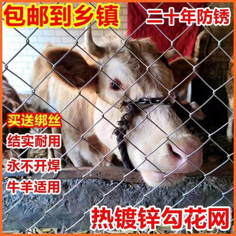 热镀锌不生锈耐用30年