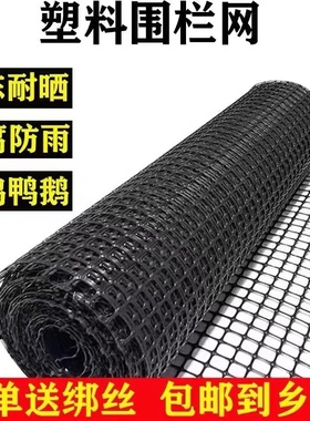 养鸡围栏农村拦鸡鸭鹅护栏栅专用土工格栅养殖胶隔离塑料格防护网