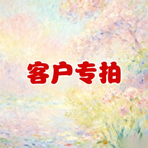 客户专拍链接
