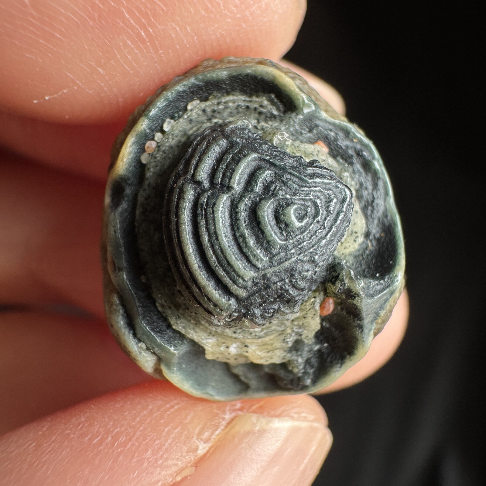 1.85cm 眼睛石 天然戈壁玛瑙原石-3966