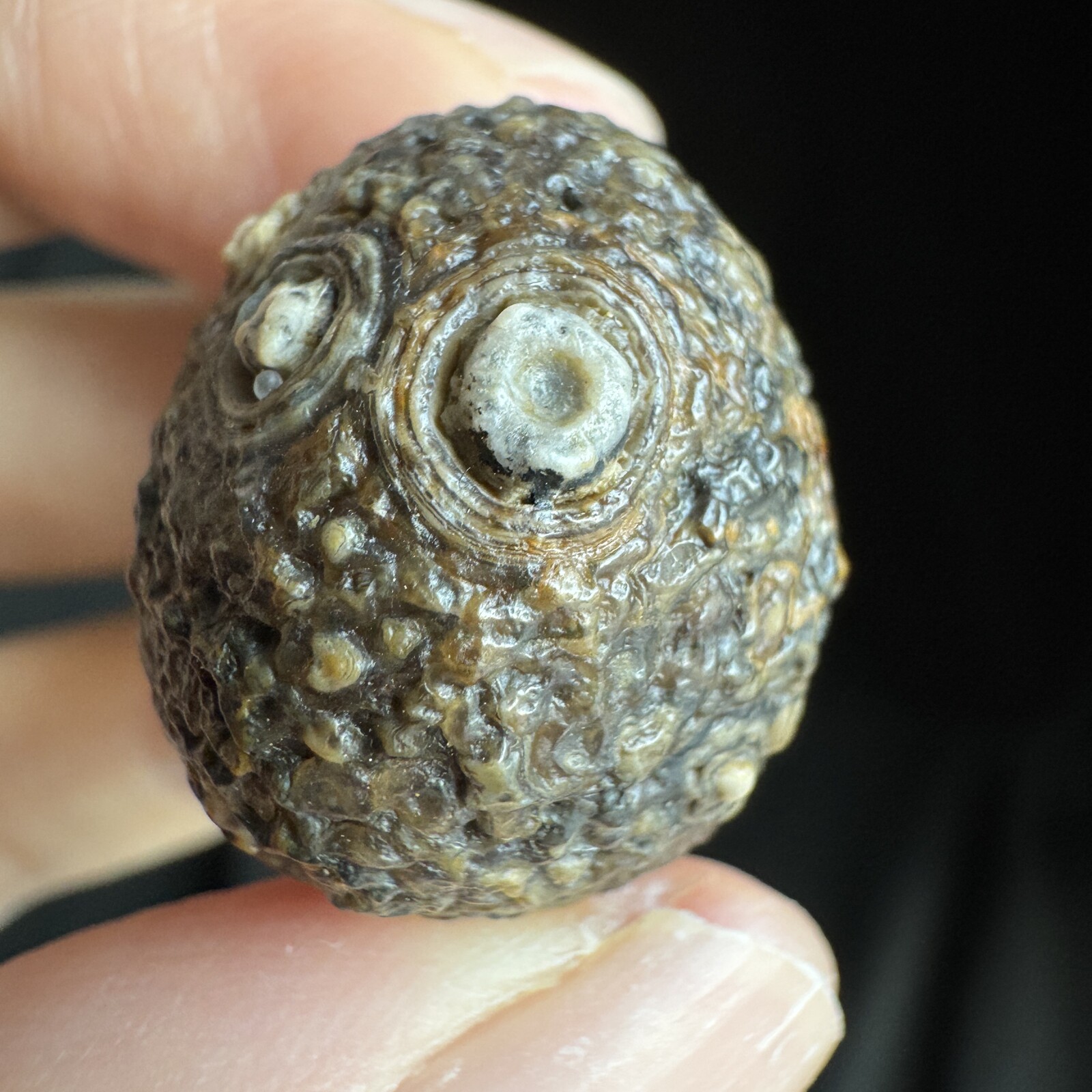 2.4cm 眼睛石大圆珠子 天然戈壁玛瑙原石-4047