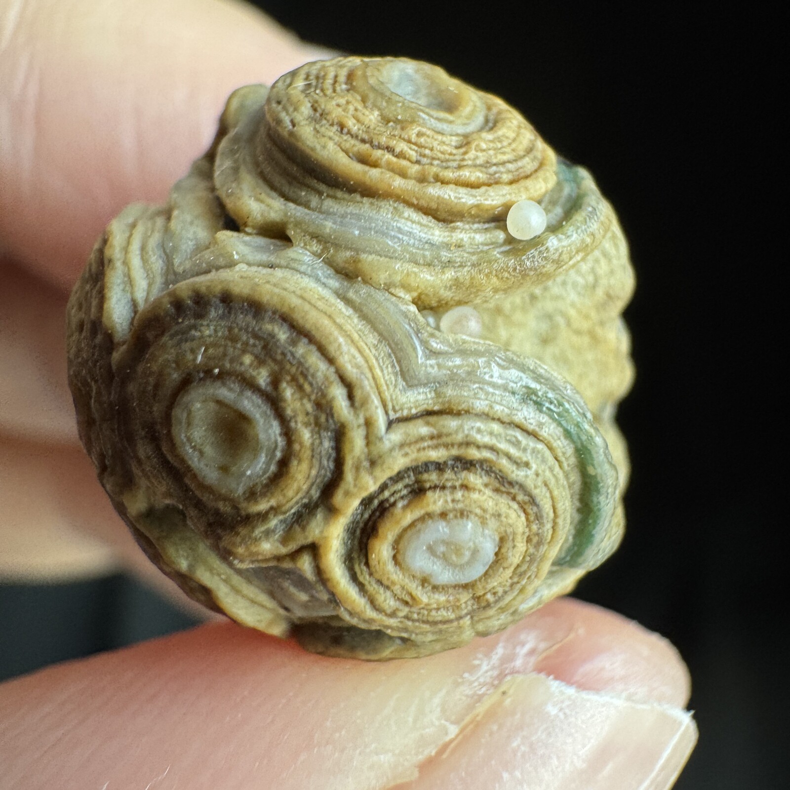 1.7cm 眼睛石 天然戈壁玛瑙原石-4056