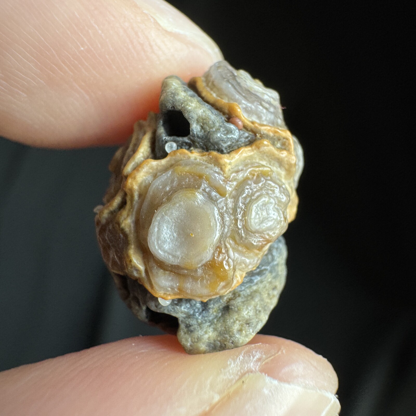 1.8cm 眼睛石 天然戈壁玛瑙原石-4055