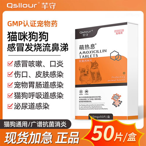 狗狗感冒药咳嗽流鼻涕阿莫西林