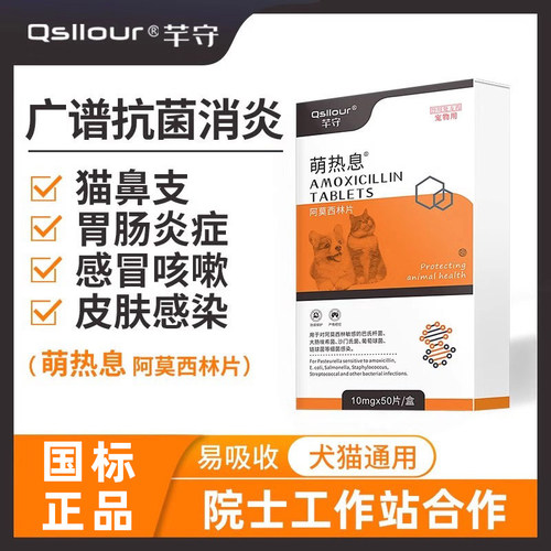 宠物猫狗感冒抗消炎速诺阿莫西林